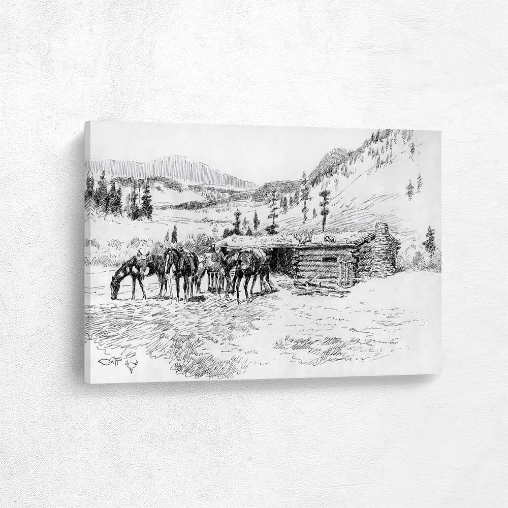 Where I learned the diamond hitch