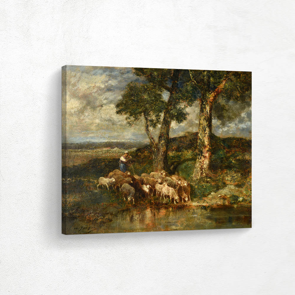 Sheep at the watering trough