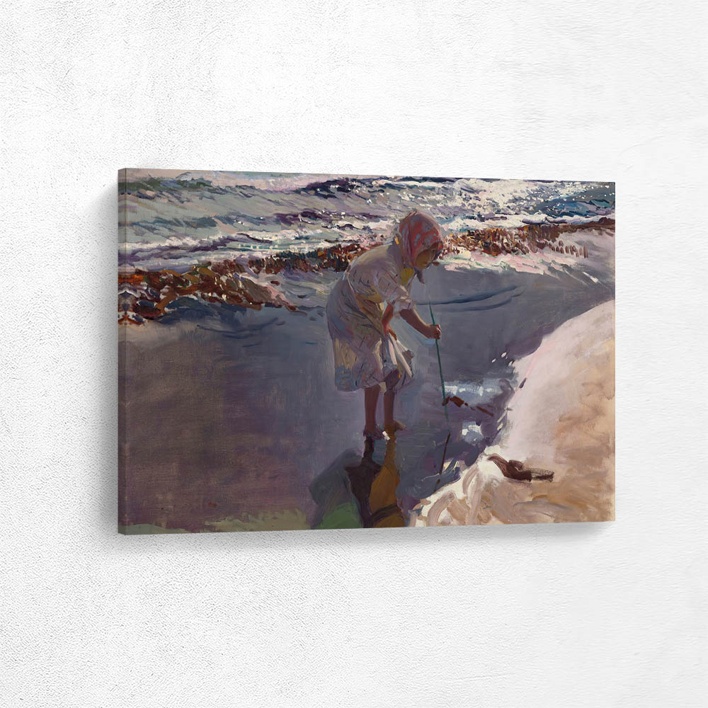 Looking for shellfish, Valencia beach