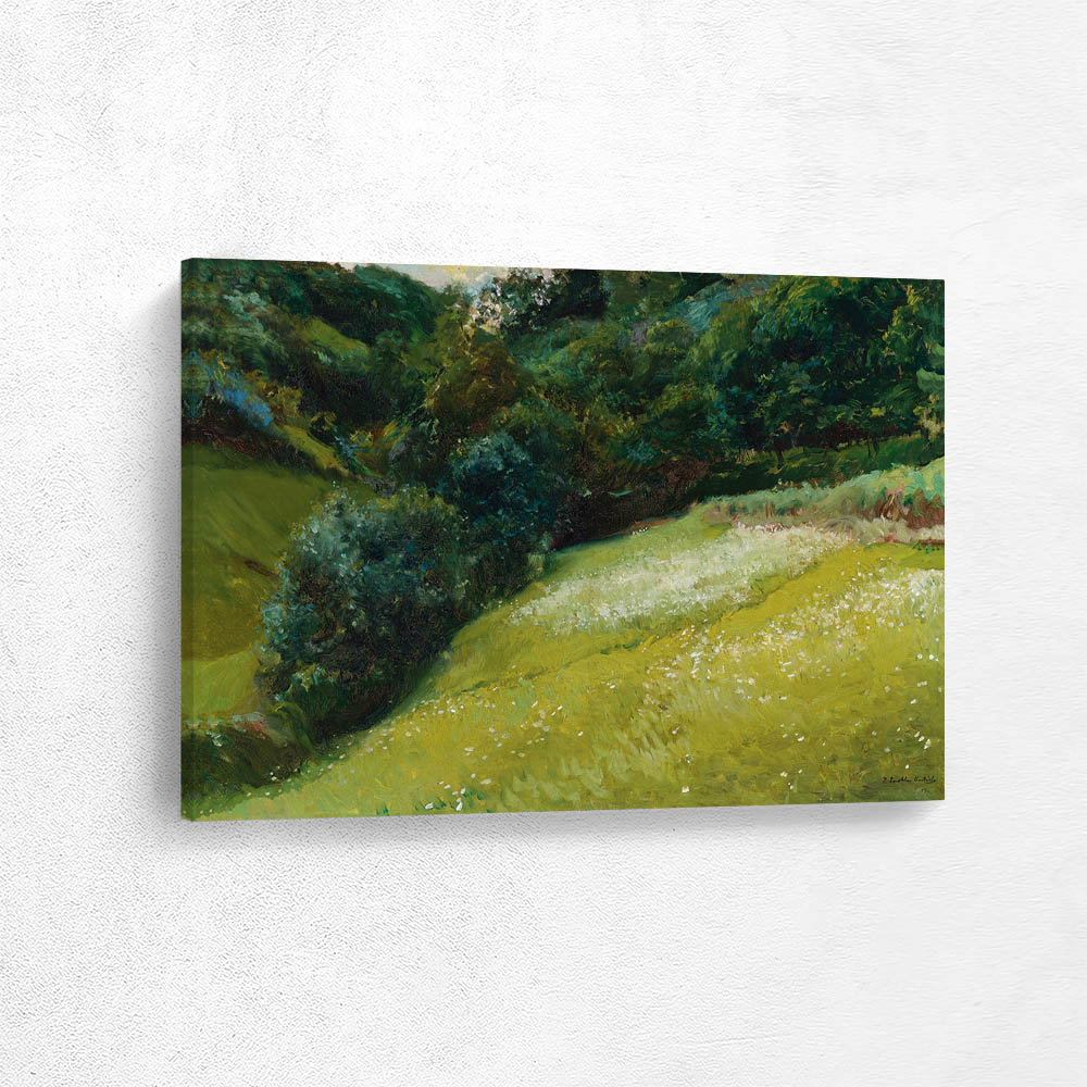 Field In Asturias, San Esteban De Pravia