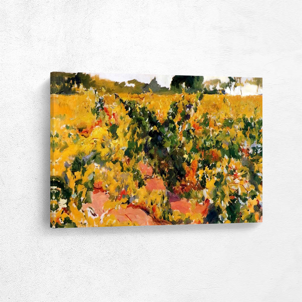 A sketch of the vineyard, sherry