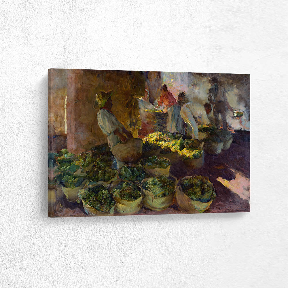 Preparation of Raisins