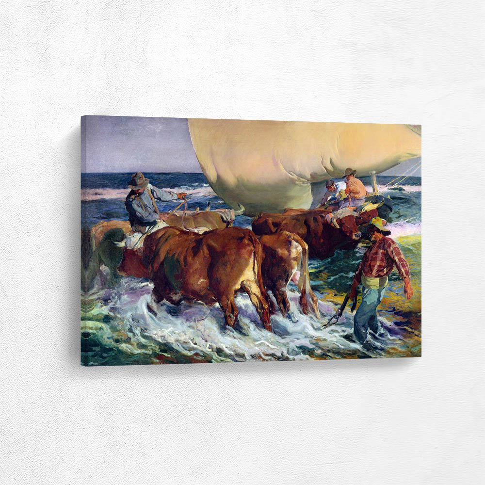 Afternoon Sun Afternoon Sun