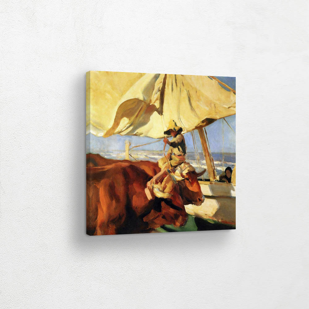 Afternoon Sun, Playa de Valencia Afternoon Sun, Playa de Valencia