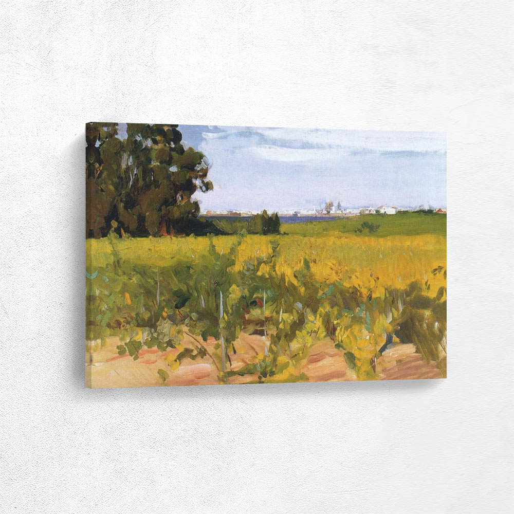 Outskirts of Seville