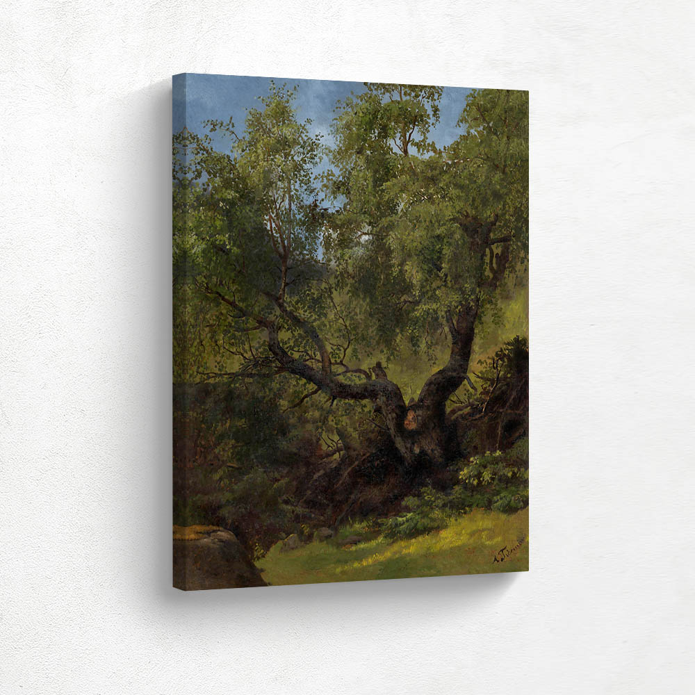 Forest Study from Numedal