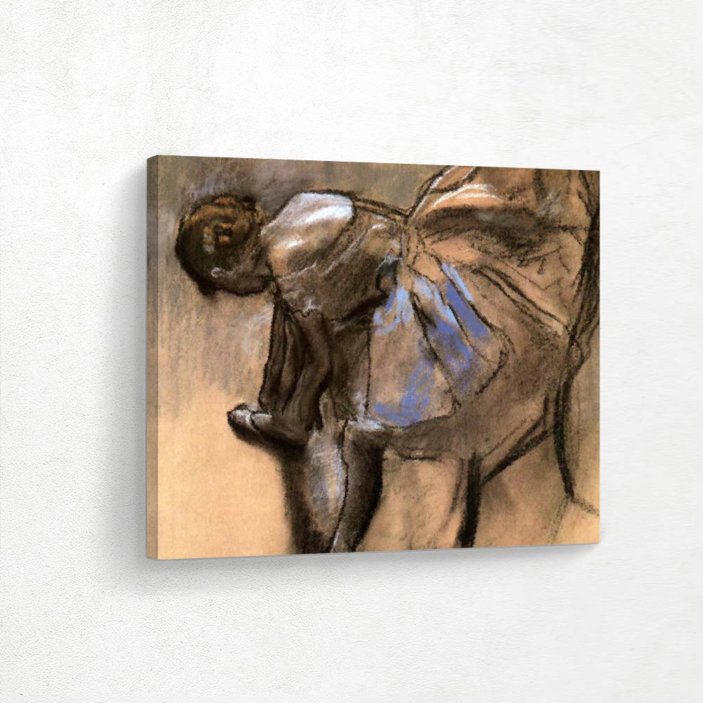 Slippers of Ballerina