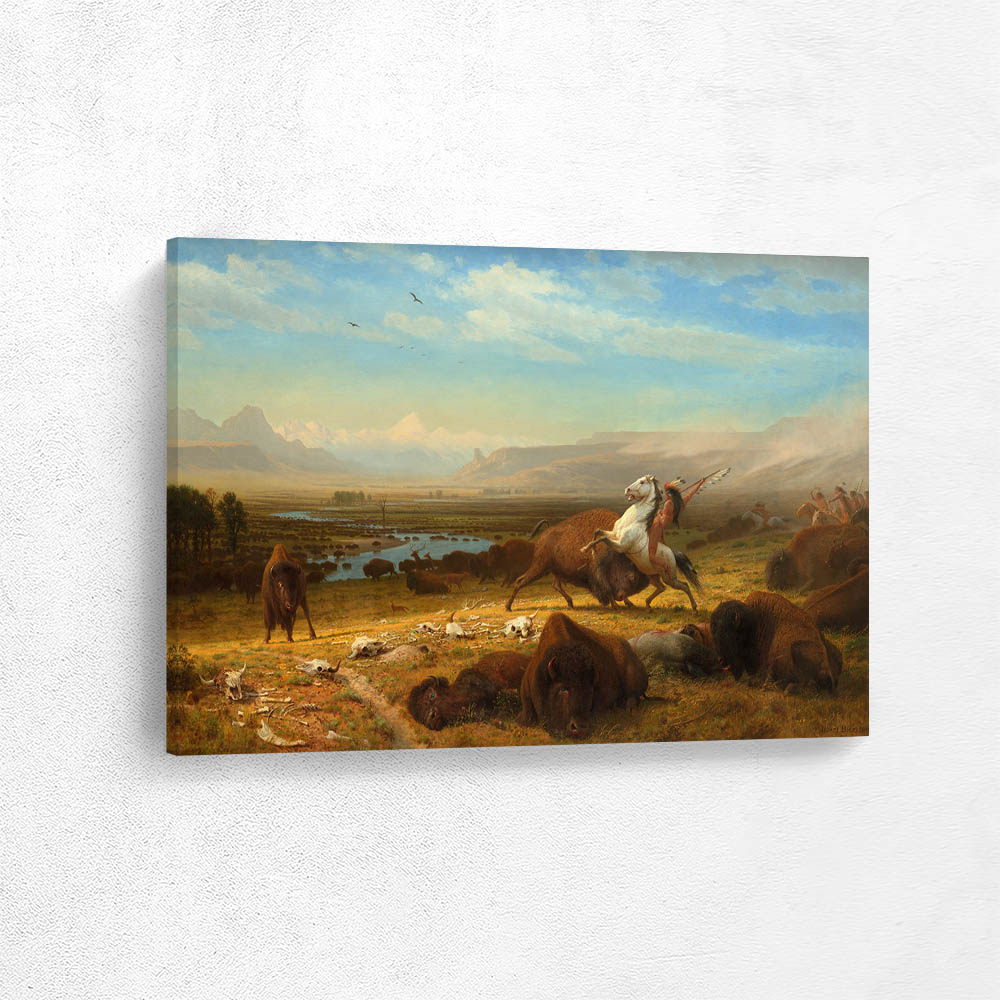 The Last of the Buffalo