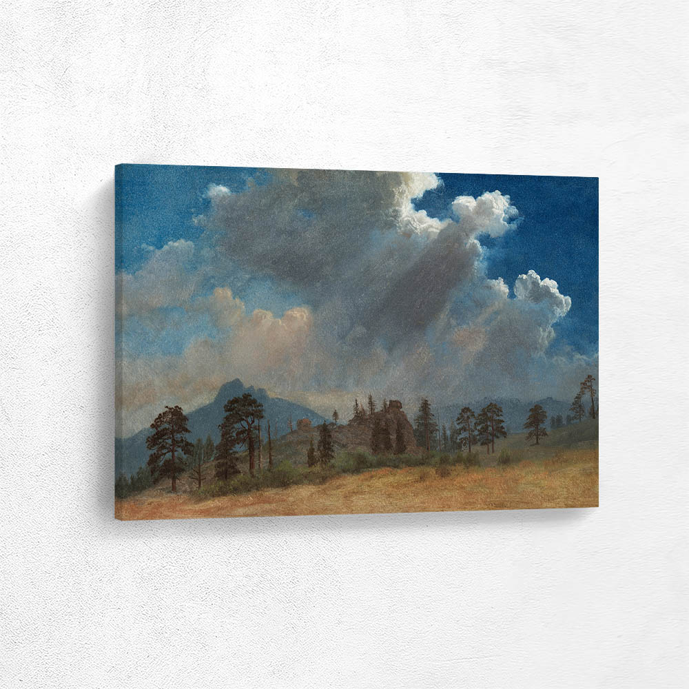 Fir Trees and Storm Clouds