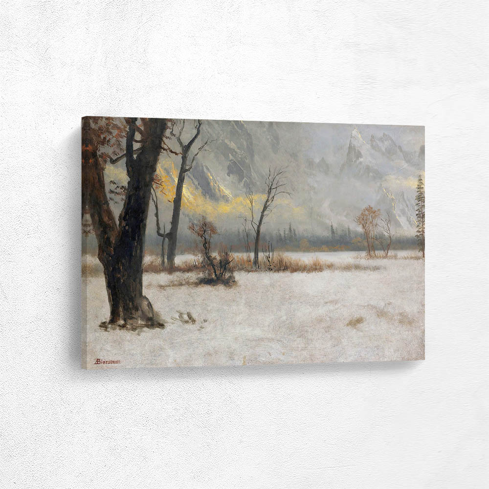 Winter Landscape