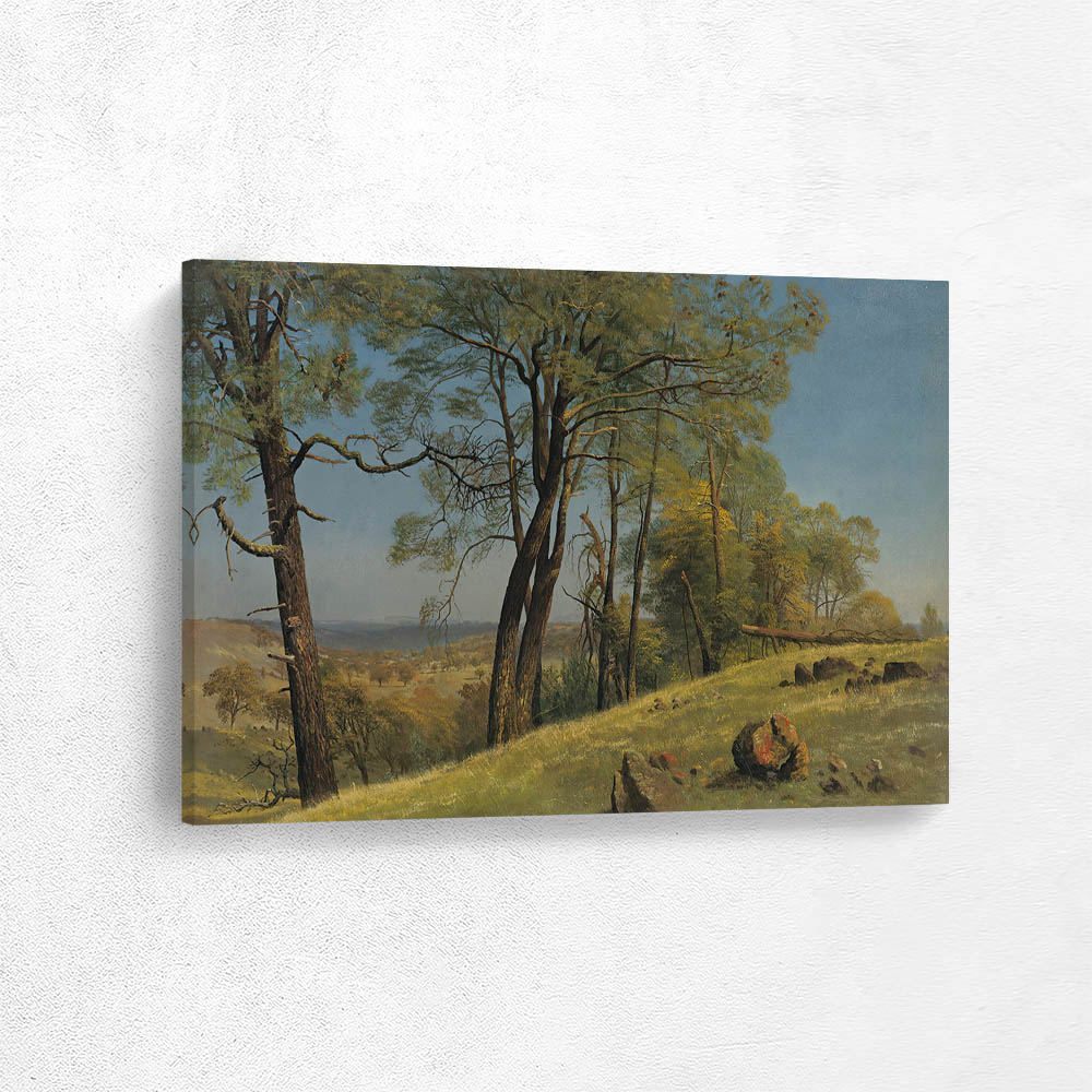 Rockland County California