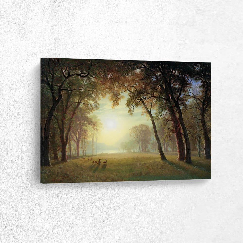 Deer in a clearing, Yosemite