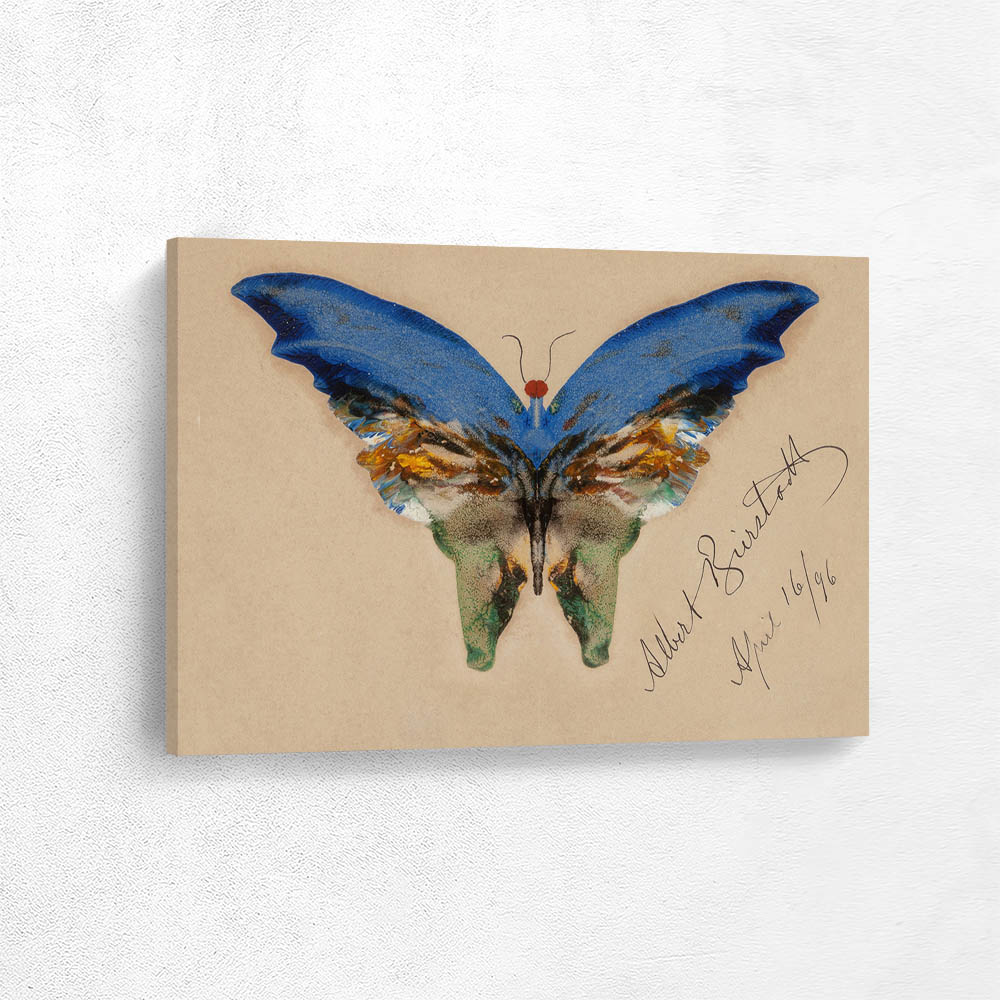 Blue Butterfly