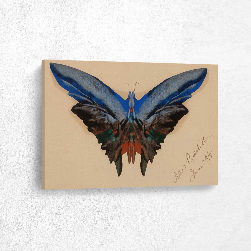 Butterfly, For Dell