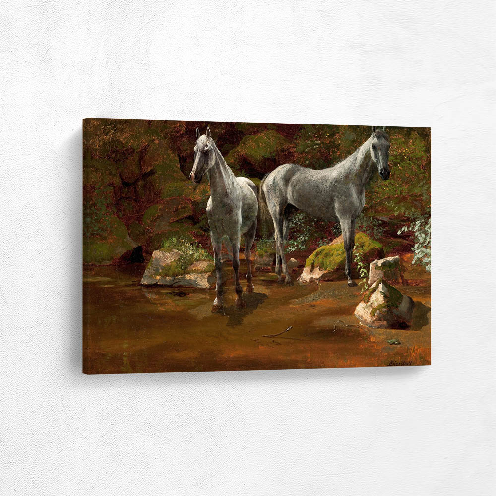 Study of Wild Horses