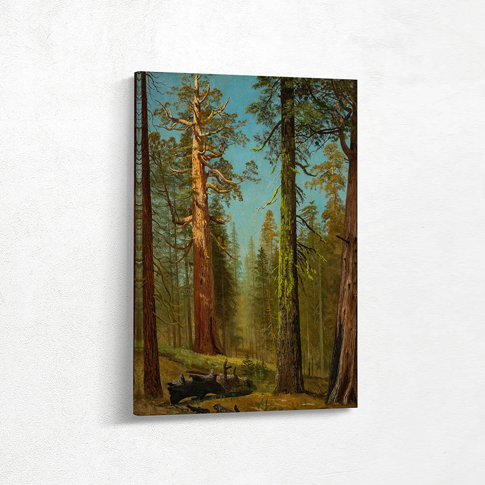 The Grizzly Giant Sequoia, Mariposa Grove, California The Grizzly Giant Sequoia, Mariposa Grove, California