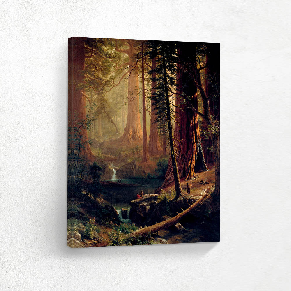 Giant Redwood Trees of California