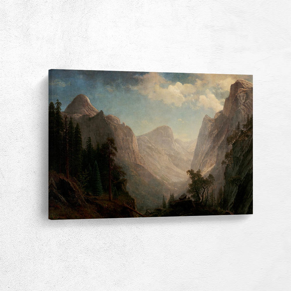 View in the Yosemite Valley