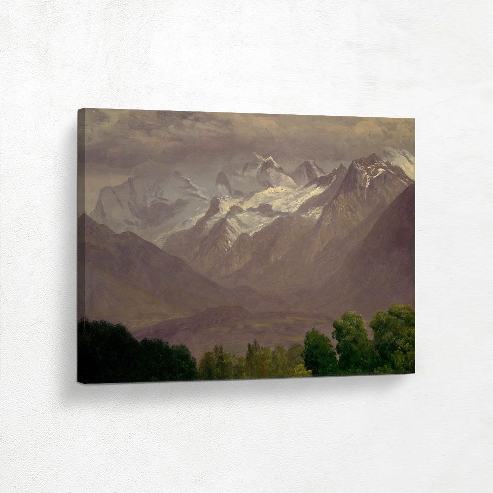 In the High Mountains