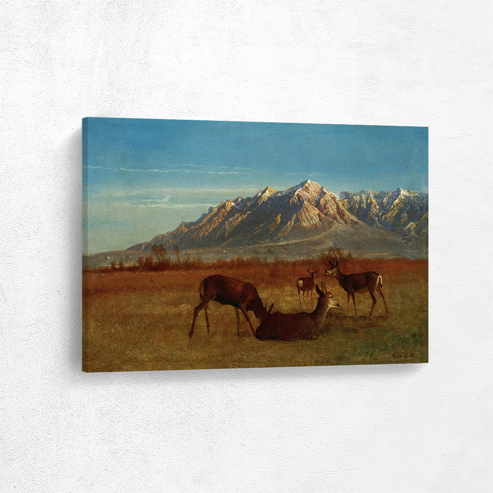 Deer in Mountain Home