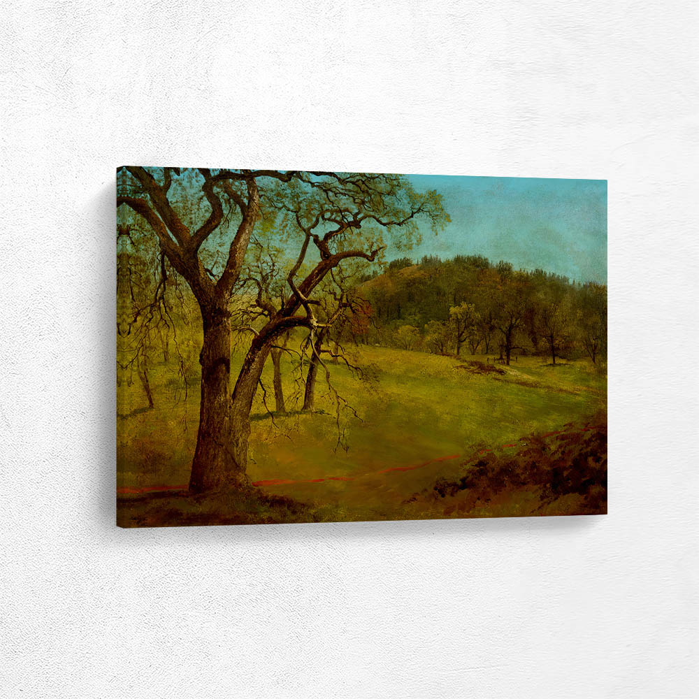 Mariposa, California