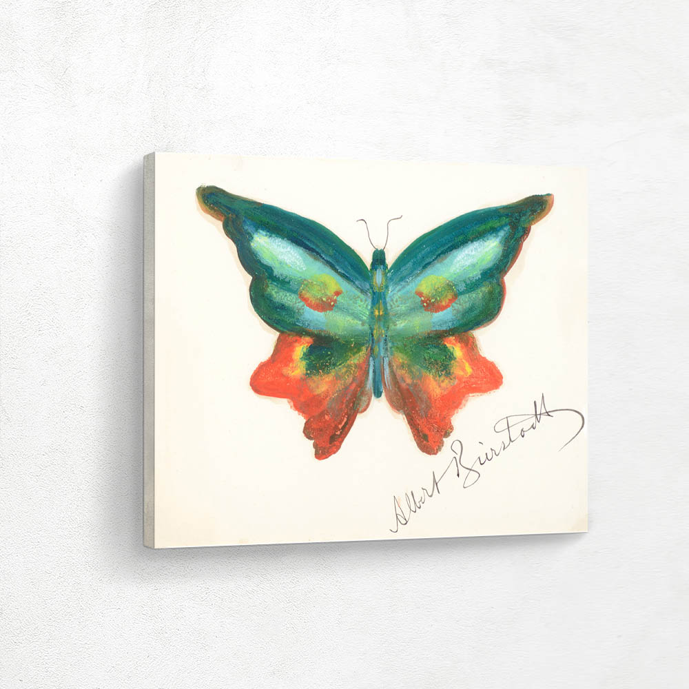 Buterfly