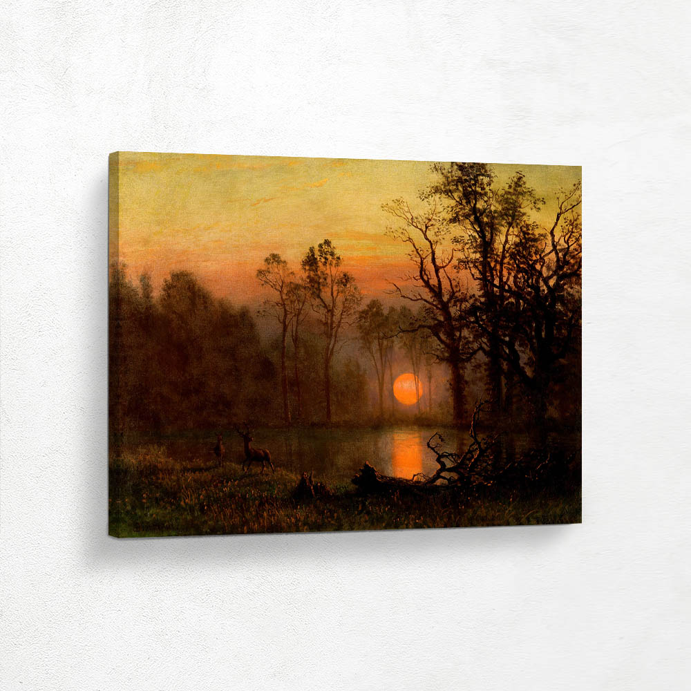 Sunset Over the Plains 