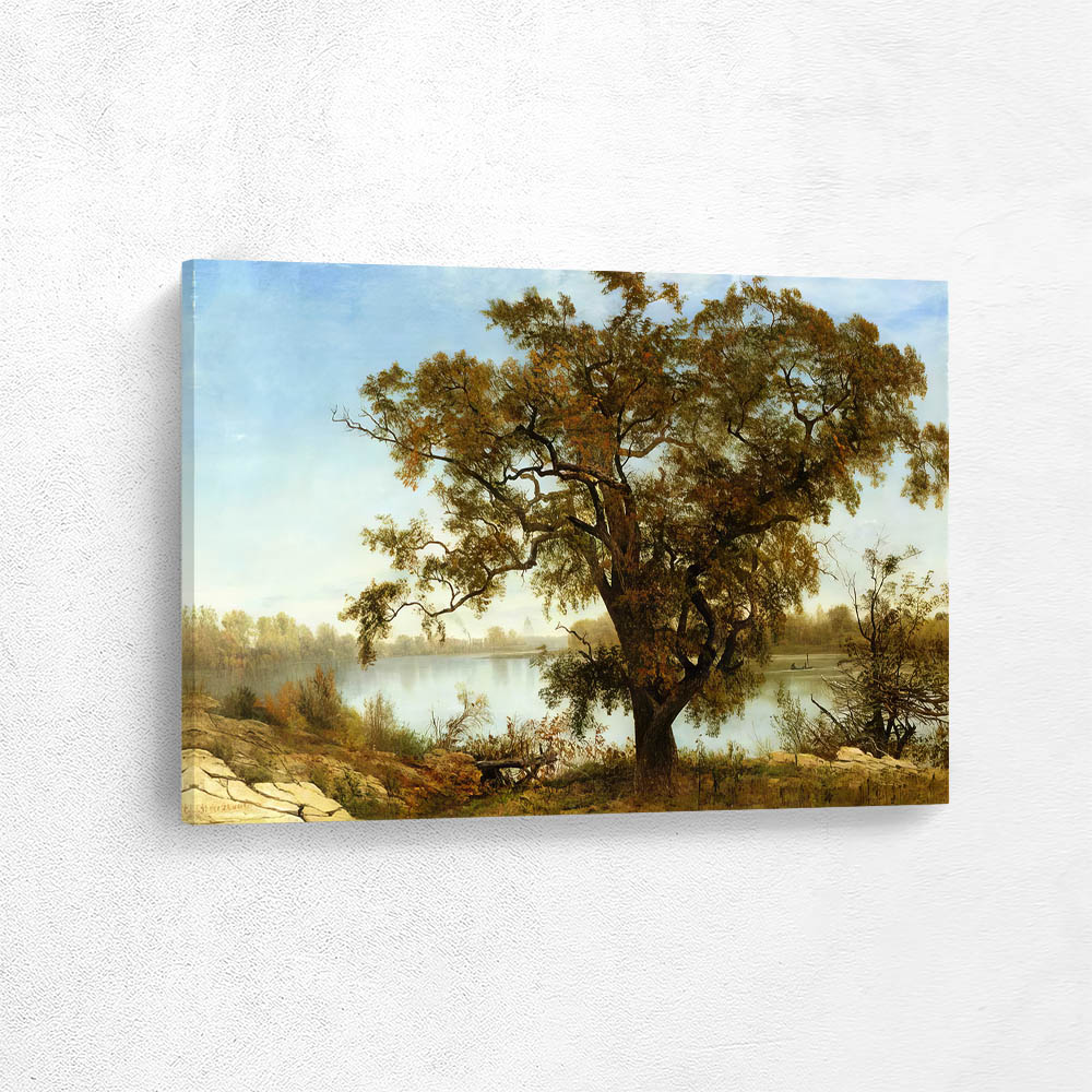 A View from Sacramento