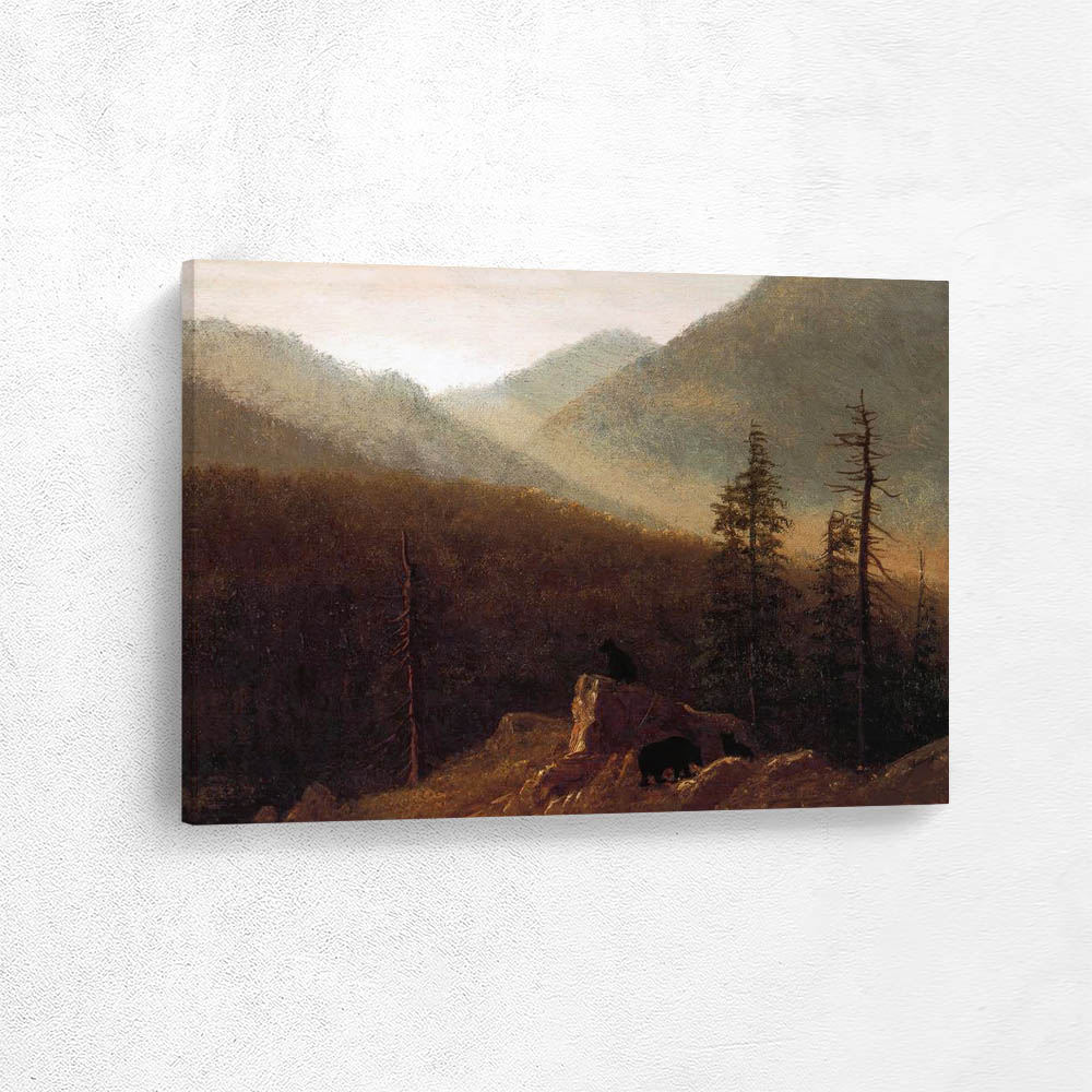 Bears in the Wilderness