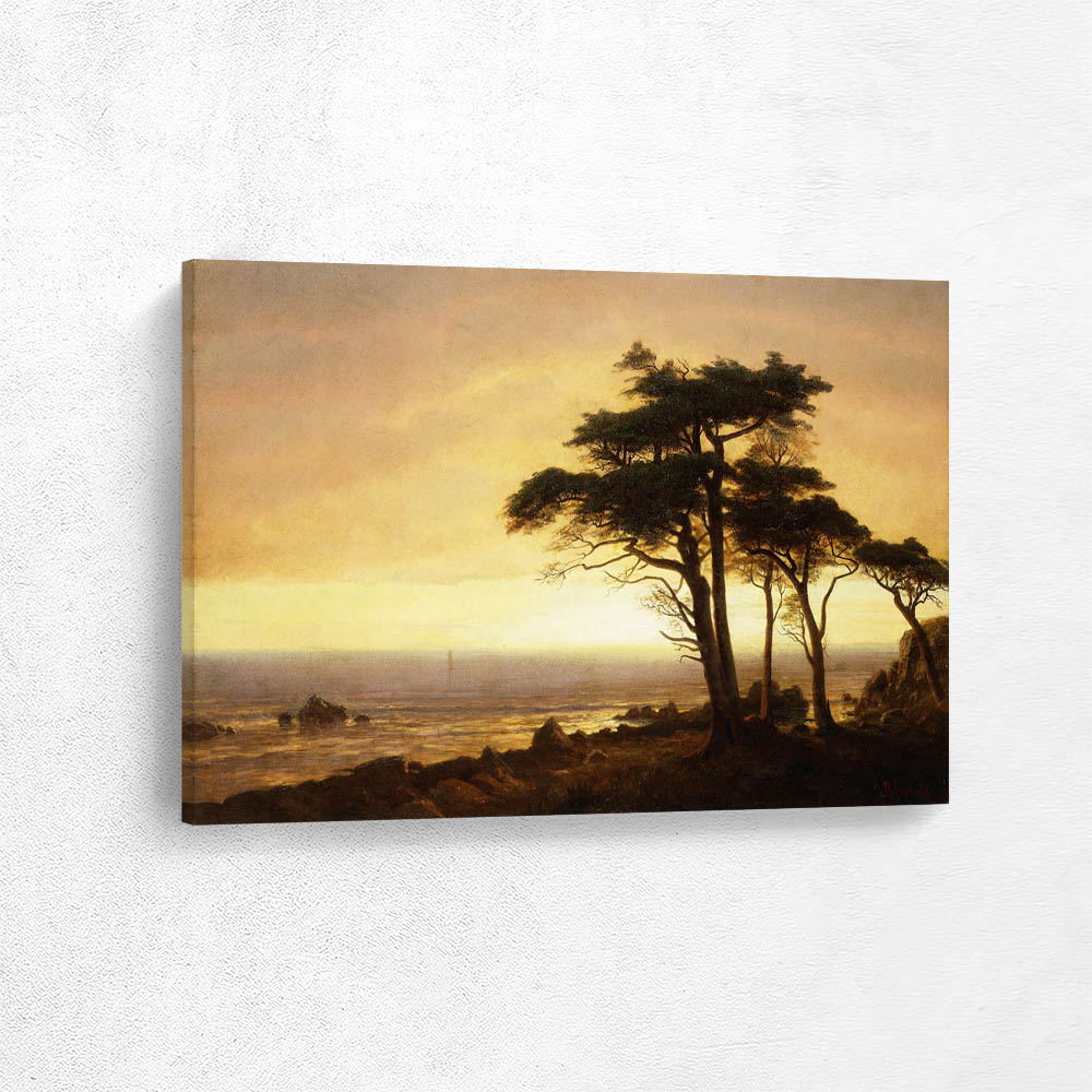 California Coast