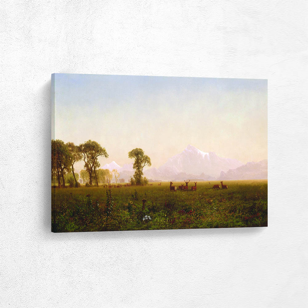 Deer Grazing, Grand Tetons, Wyoming