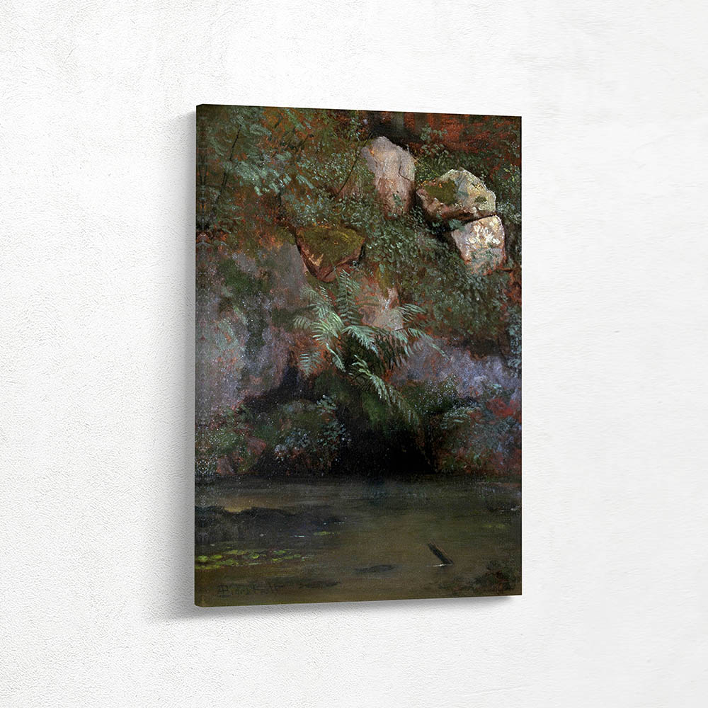 Ferns and Rocks on an Embankment