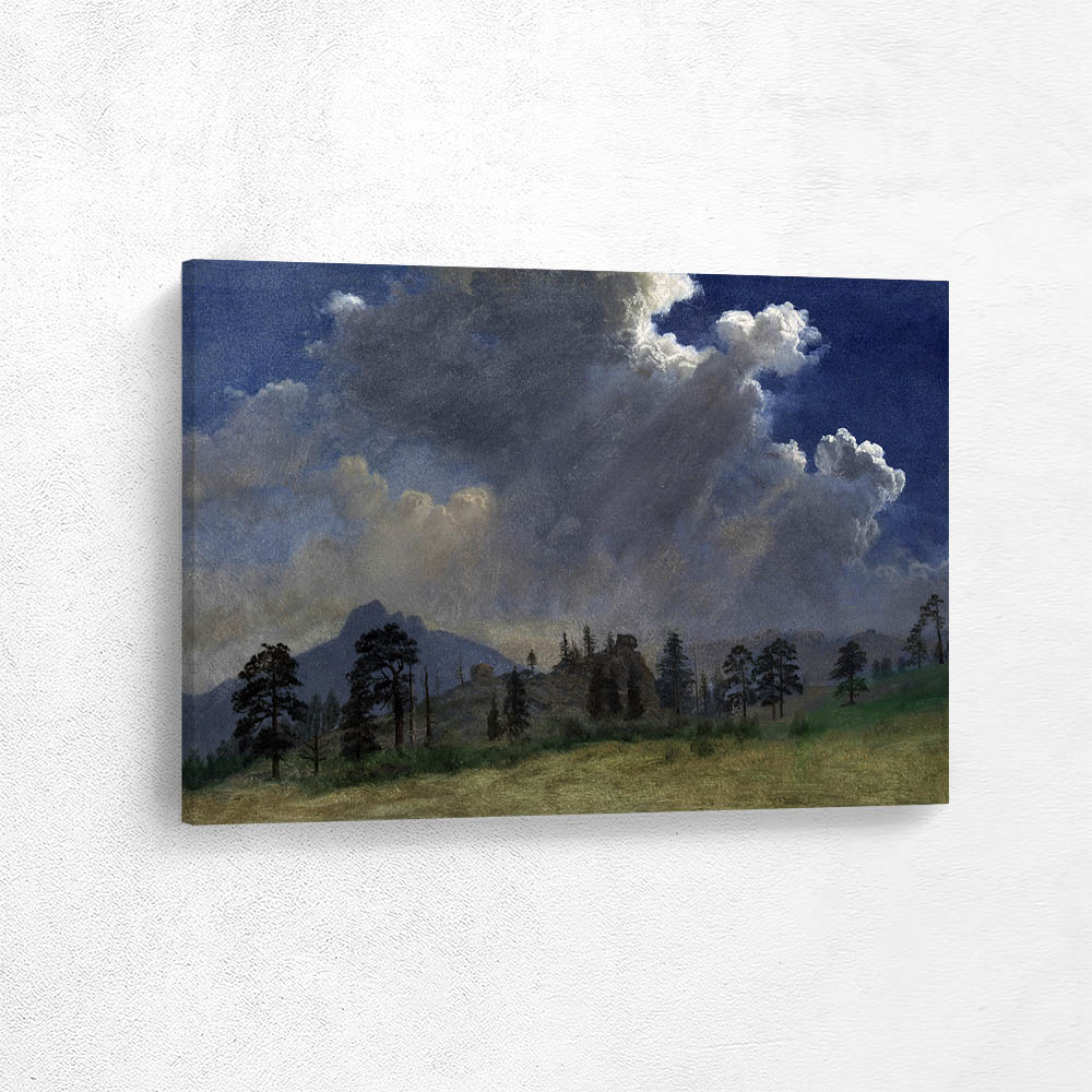 Fir Trees and Storm Clouds