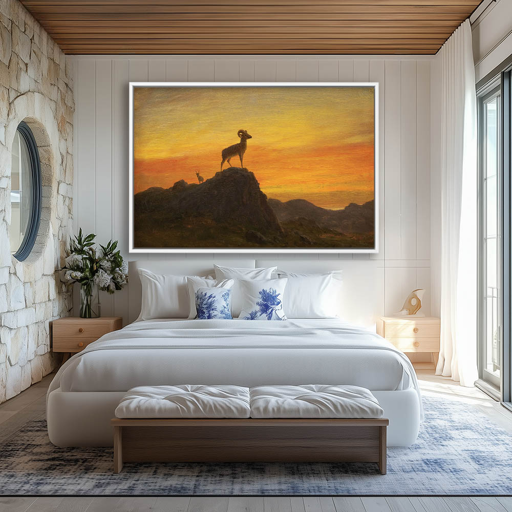Sheep at sunset - Image 4