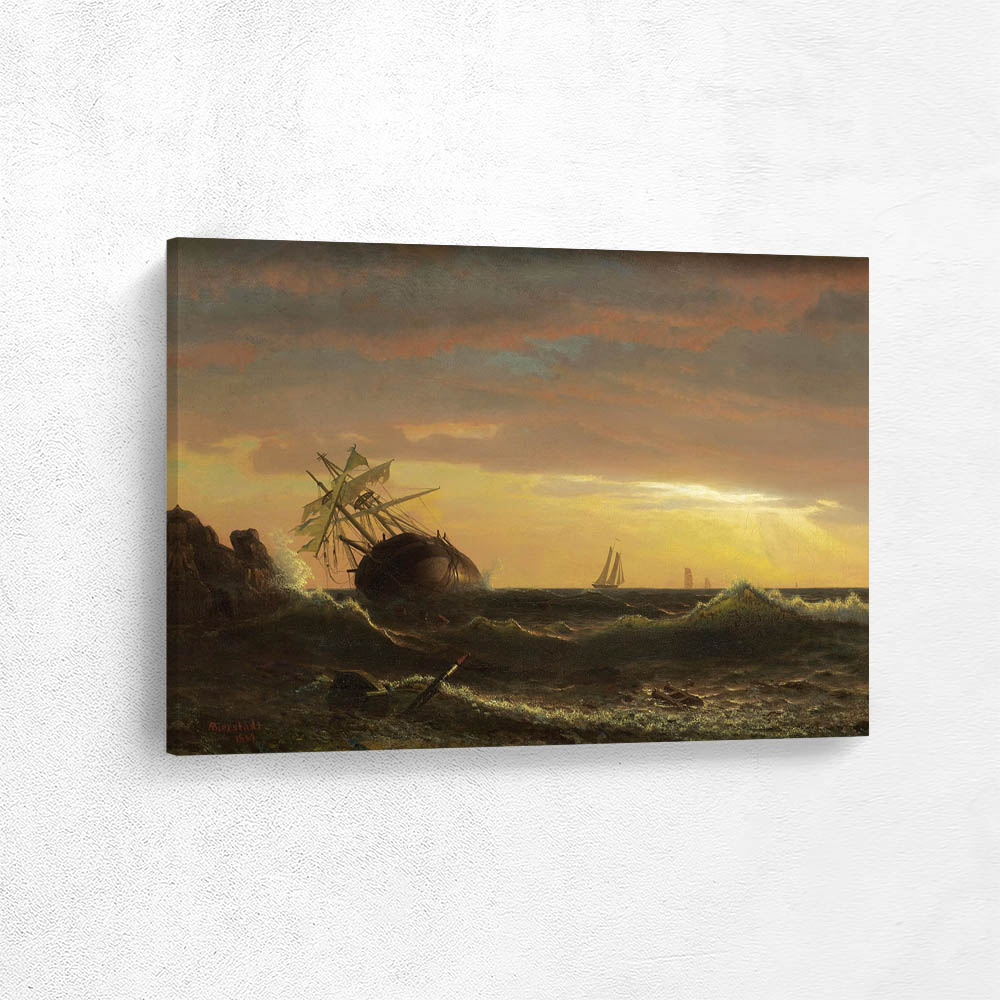 Beached Ship