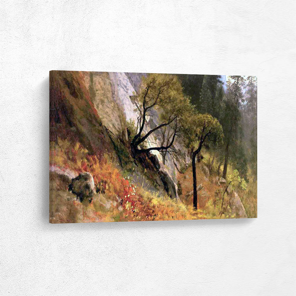 Landscape Study: Yosemite, California
