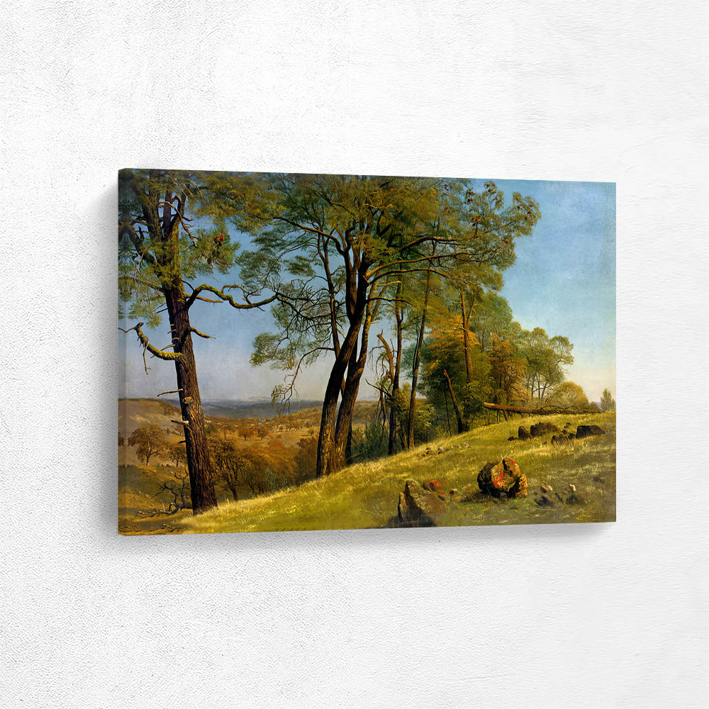 Landscape, Rockland County, California