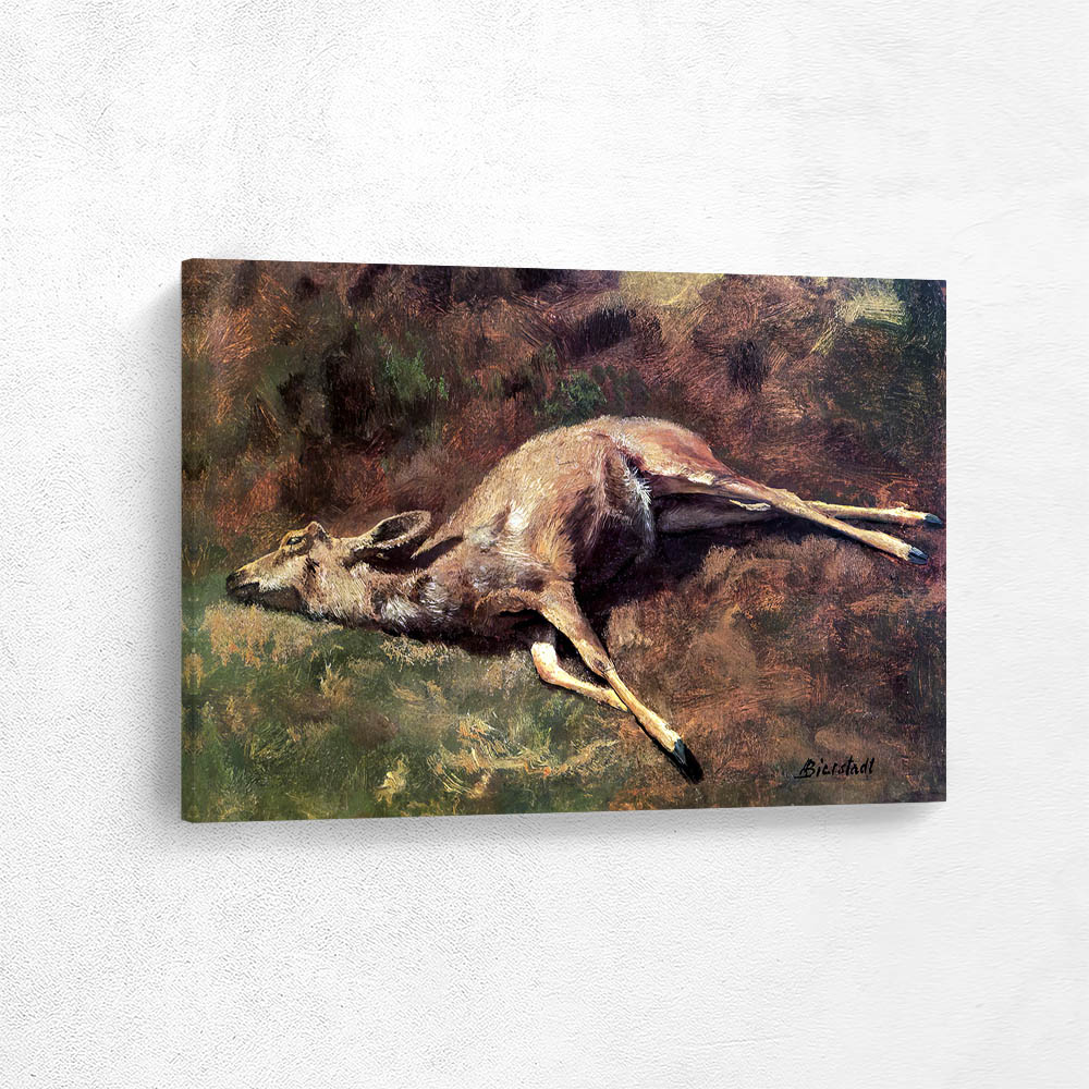 Native of the Woods Native of the Woods