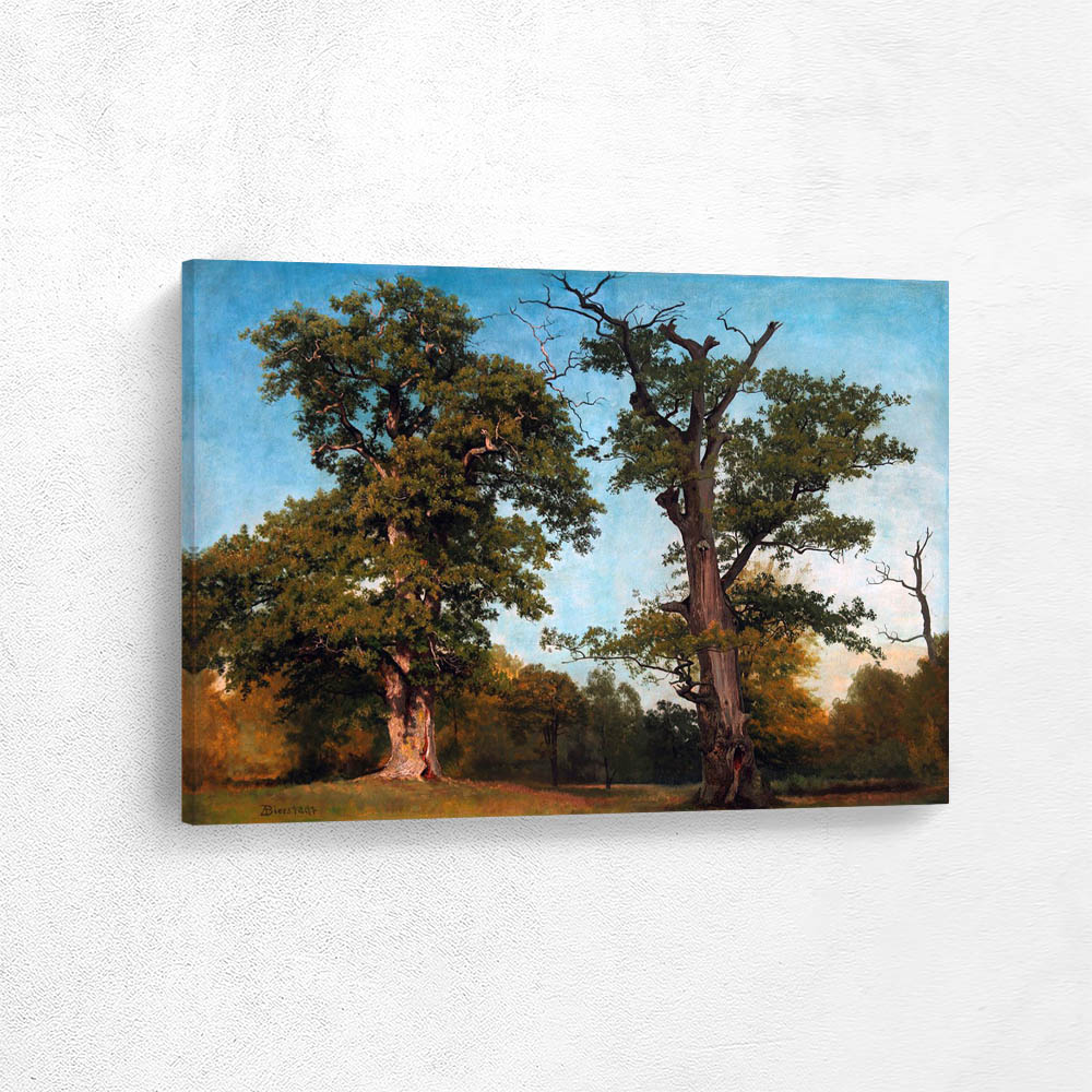 Pioneers of the Woods