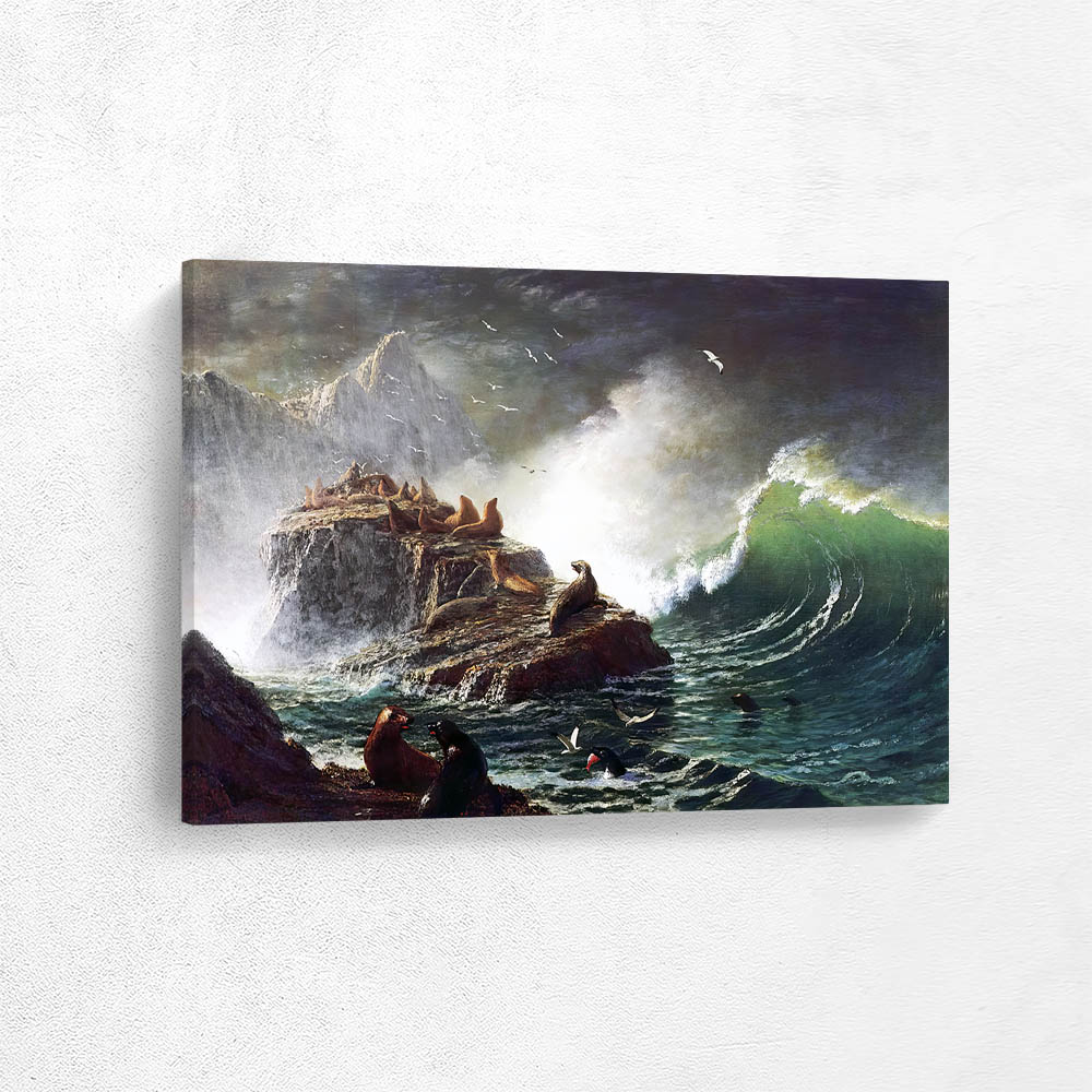 Seals on the Rocks, Farallon Islands