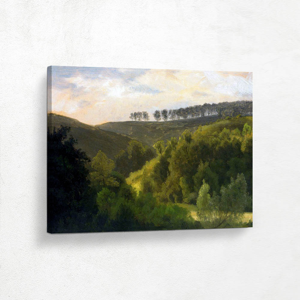 Sunrise over Forest and Grove