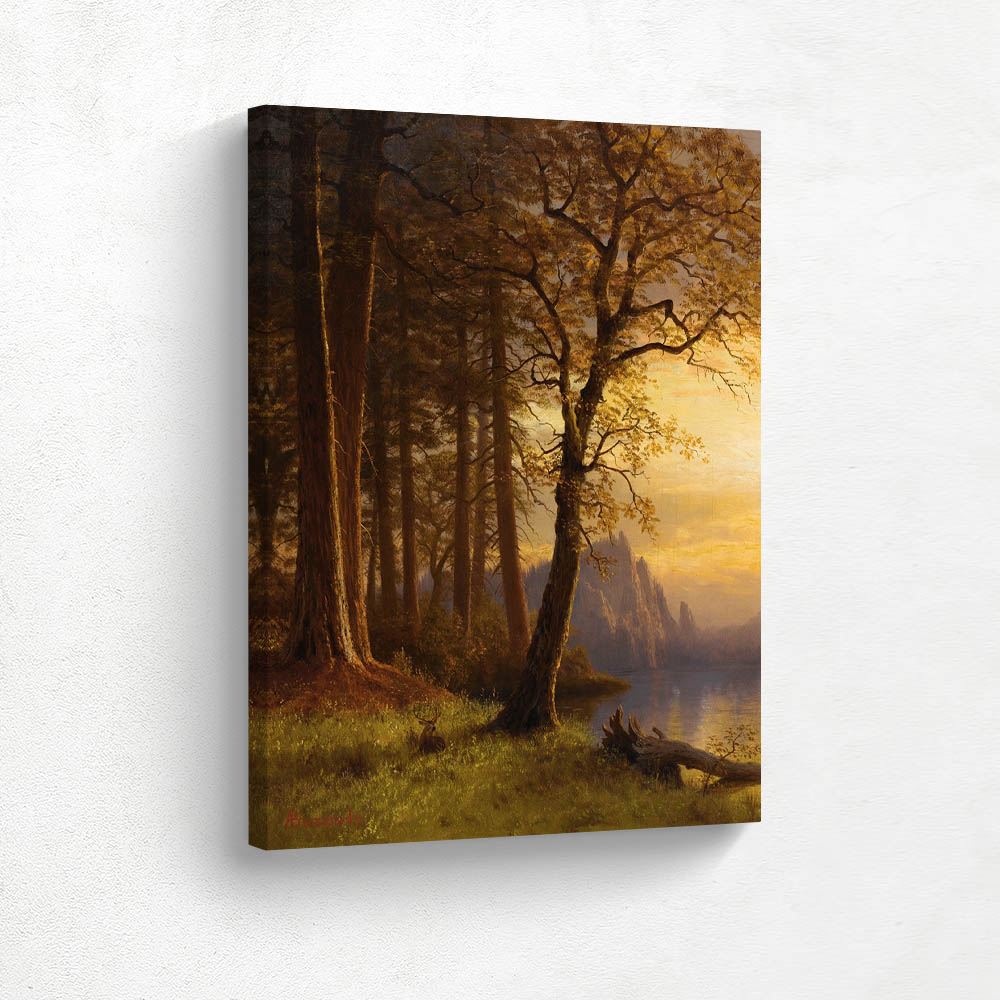 Sunset in California ­ Yosemite