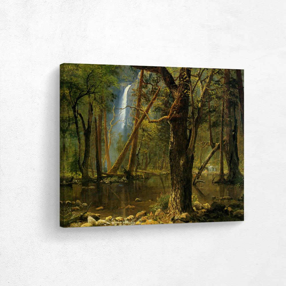 View in Yosemite Valley