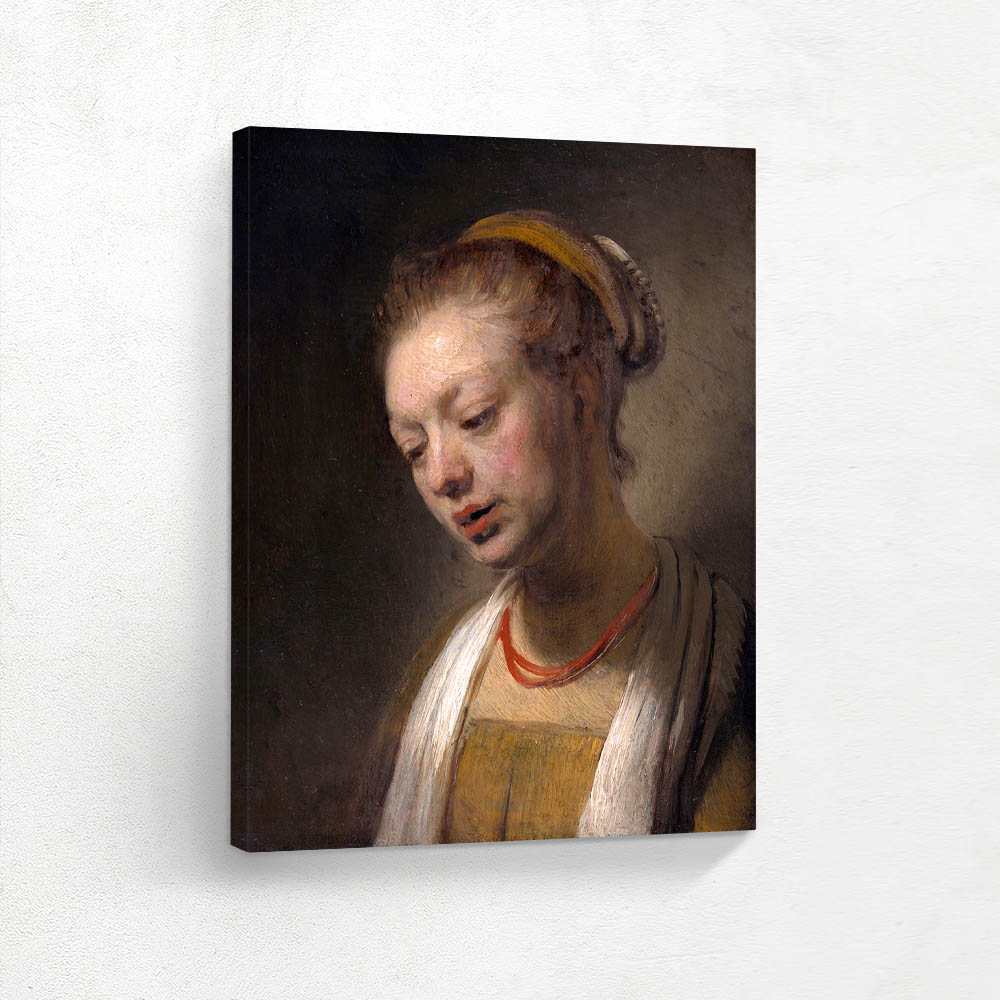 Portrait of a Young Girl