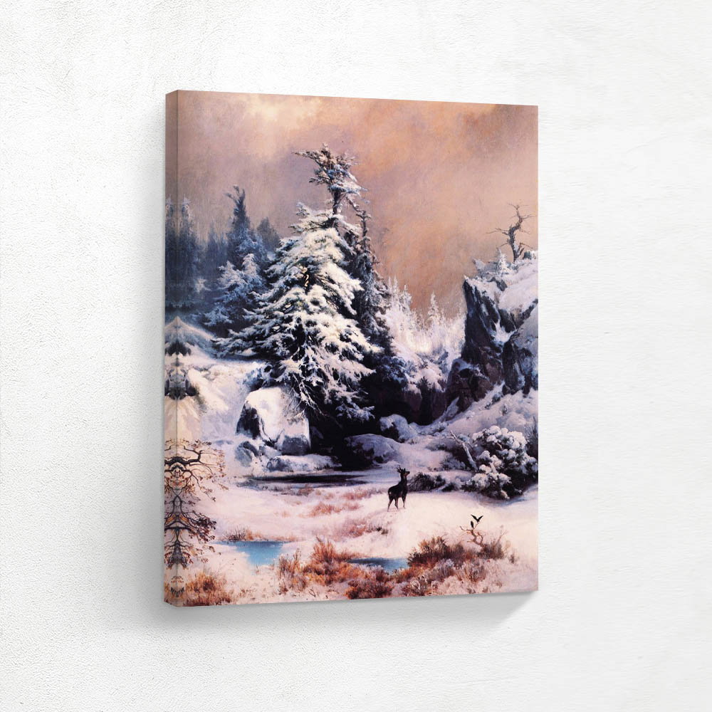 Winter in the rockies