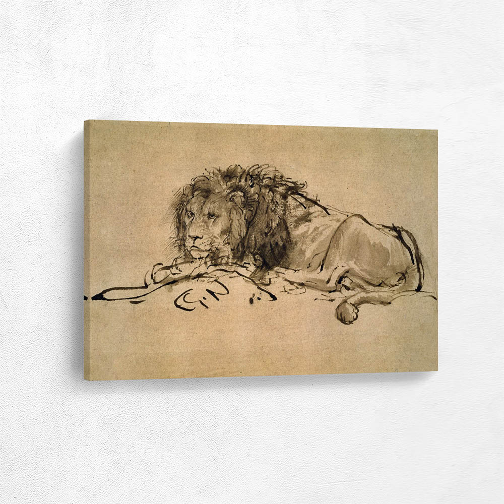 Lion Resting