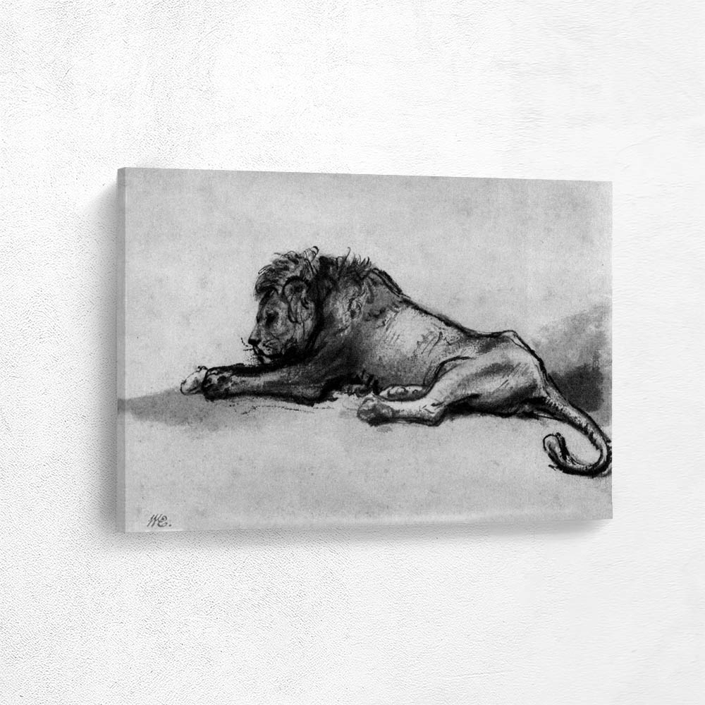 Lion Resting