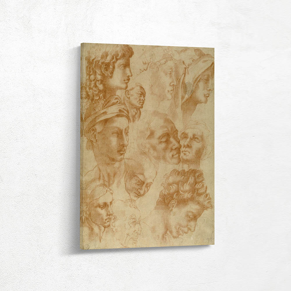 Twelve Studies of Heads