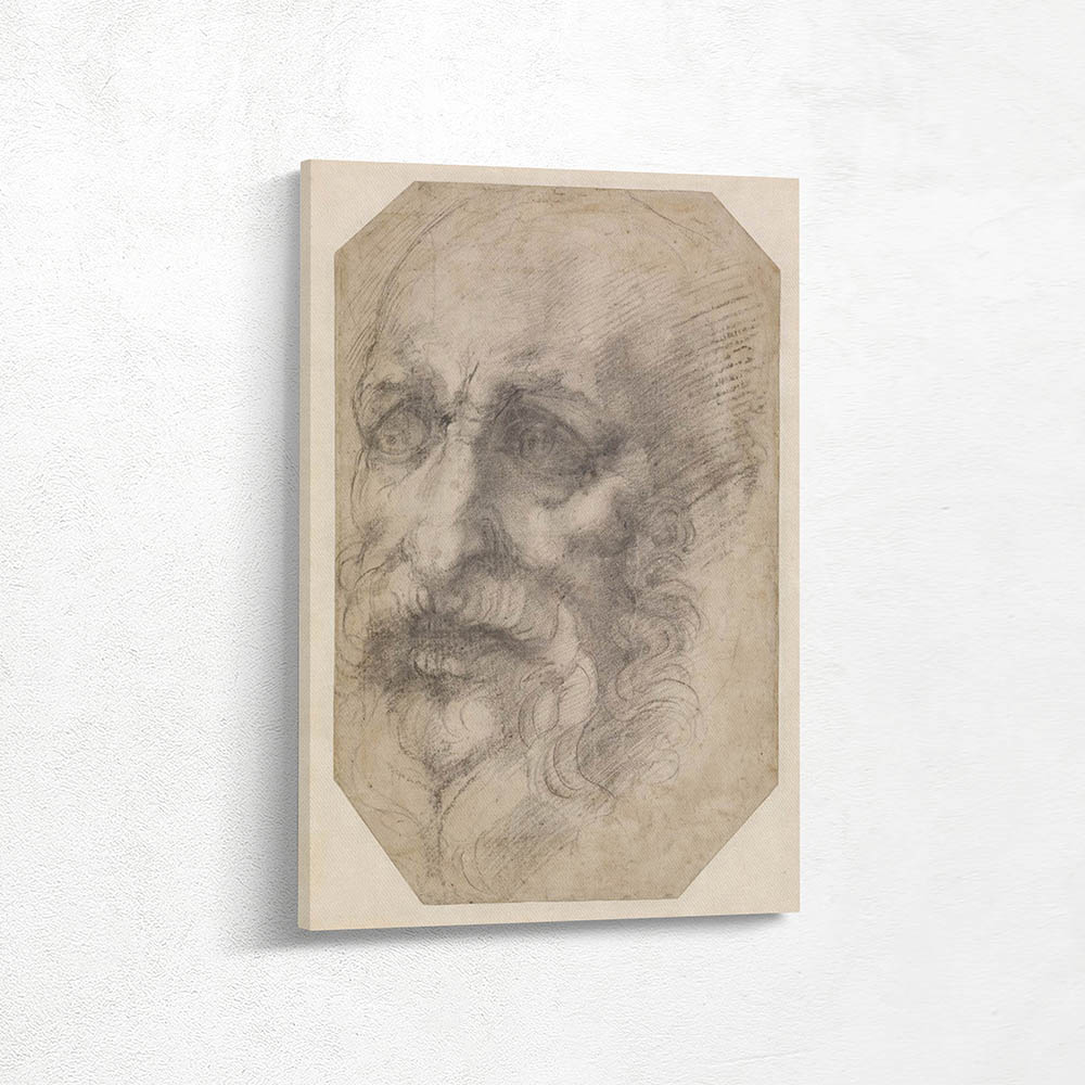 Head of a Bearded Man Turned Slightly Head of a Bearded Man Turned Slightly