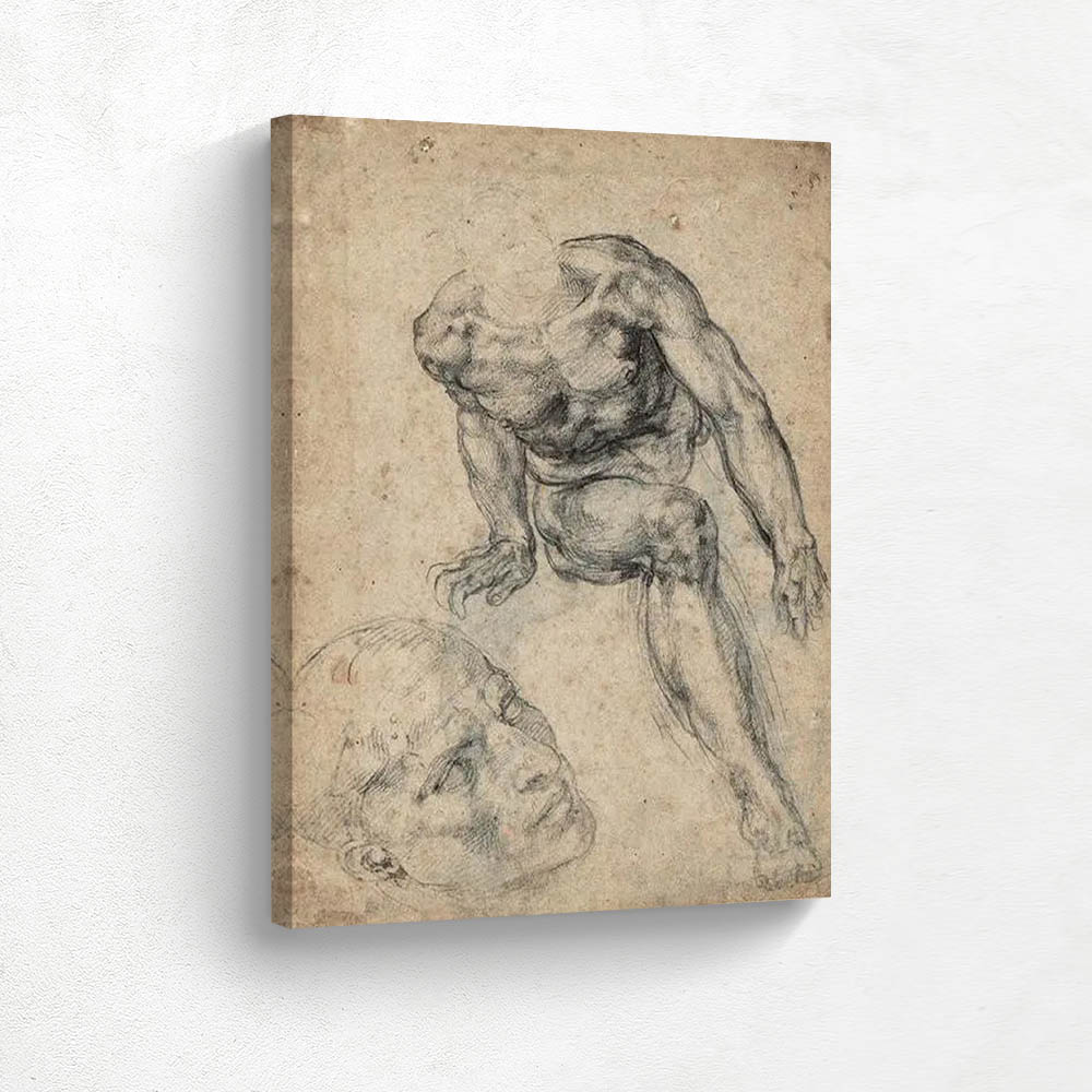 Study of Male Head and Body